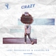 Lost Frequencies, Zonderling