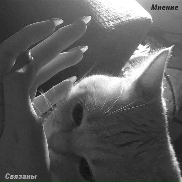 Мнение - Связаны