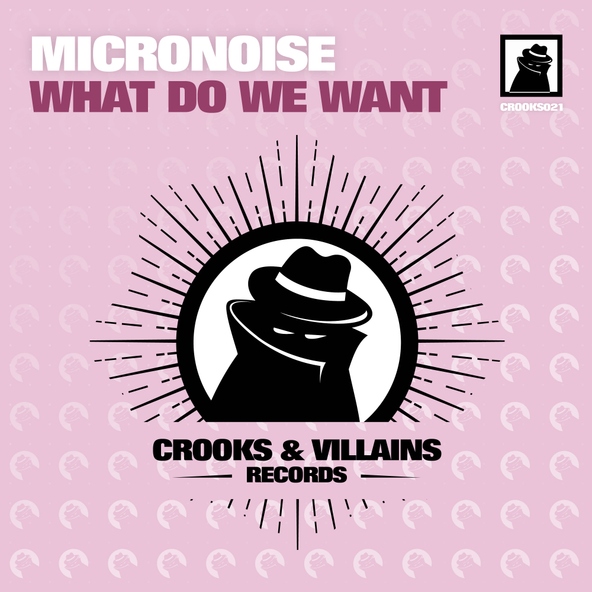 Micronoise - What Do We Want