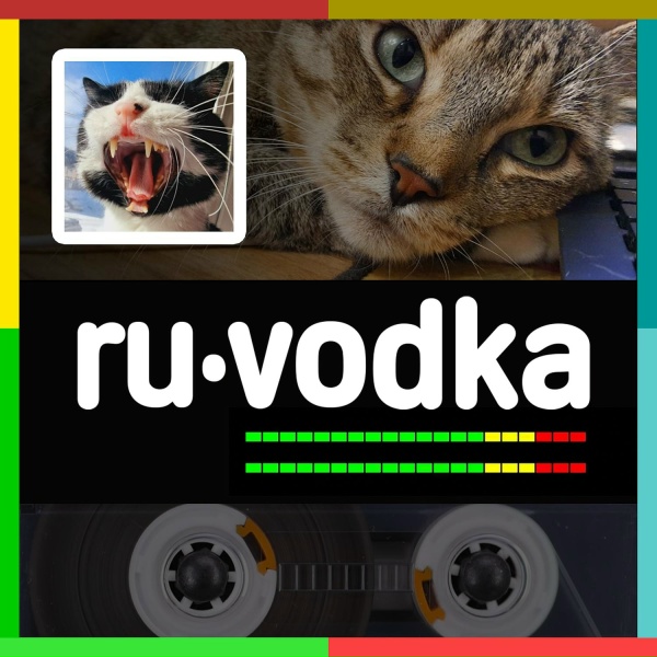 ru&middot;vodka - Слон, песня про зарплату. денег нет, как найти подработку. гимн начинающего блогера, онлифанщица, не
