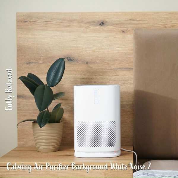 Steve Brassel - Calming Air Purifier Background White Noise, Pt. 9