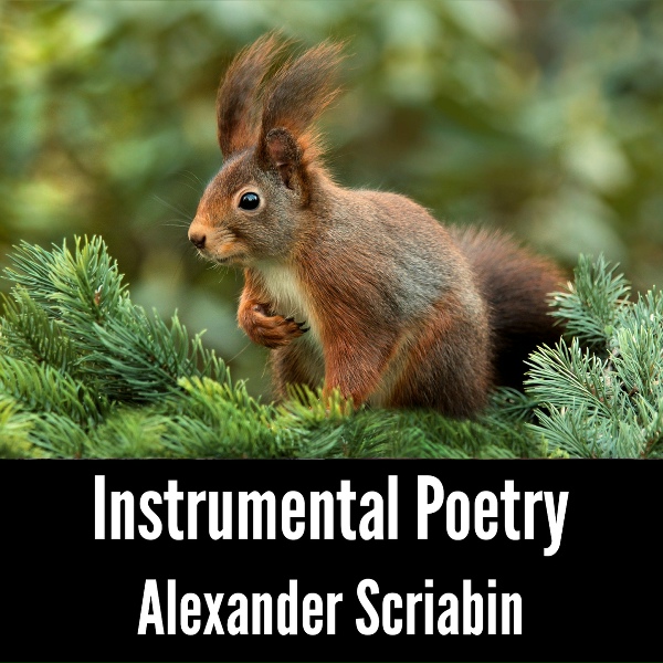 Alexander Scriabin - 12 Etudes, Op.11 - No.4 in B