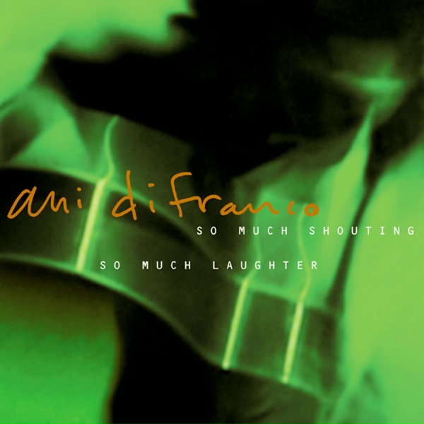 Ani DiFranco - You Had Time (live)