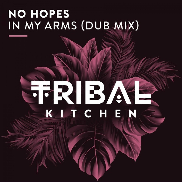 No Hopes - In My Arms
