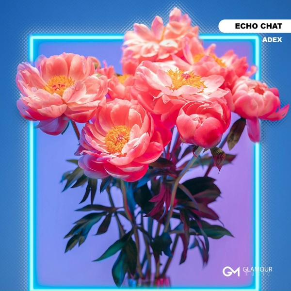 Adex - Echo Chat