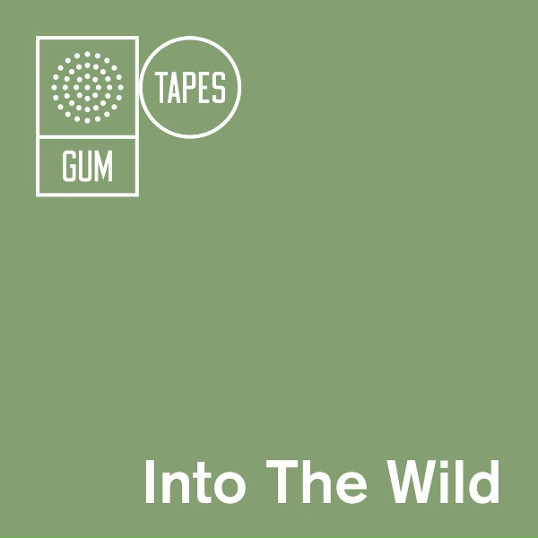 Gum Tapes - Looking For Water