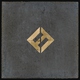 Foo Fighters - The Sky Is A Neighborhood