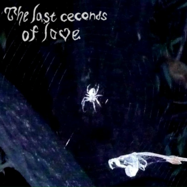 The last seconds of love - С2