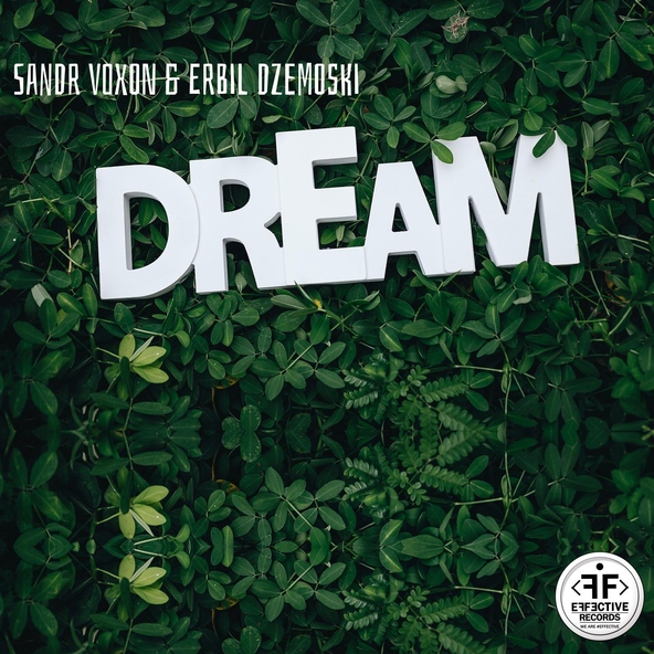Sandr Voxon, Erbil Dzemoski - Dream