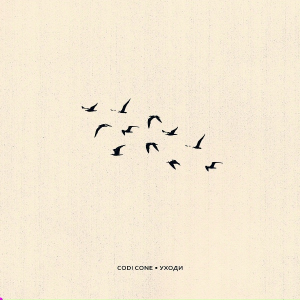 CODI CONE - Уходи