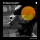 Steam Shape - Into My Veins (Original Mix) (Original Mix)
