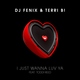 DJ Fenix, Terri B! - I just wanna luv ya
