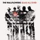 The Wallflowers - The Devil's Waltz