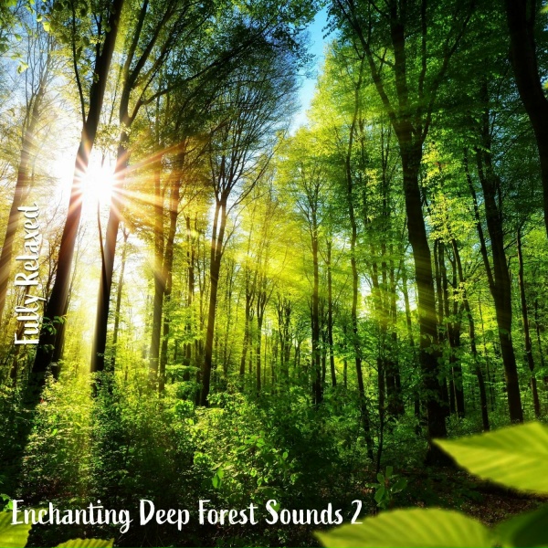 Steve Brassel - Enchanting Deep Forest Sounds, Pt. 2