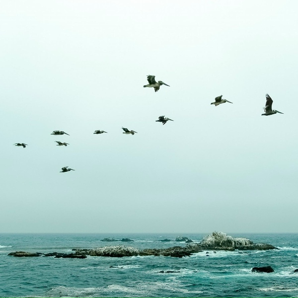 The Sleep Helpers, Nature Recordings, Musica Relajante - Spring in the Arctic
