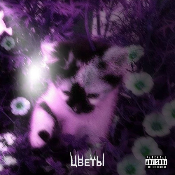 Корви - НЕ ОДНА