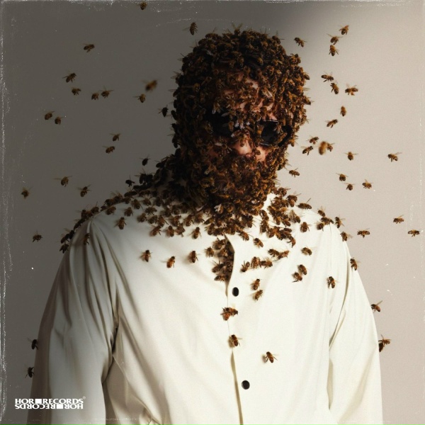 Kashin - Swarm