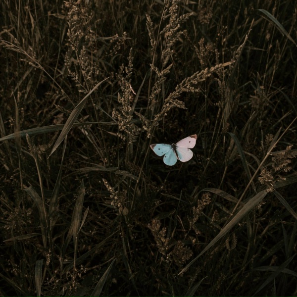 tenyday - silence