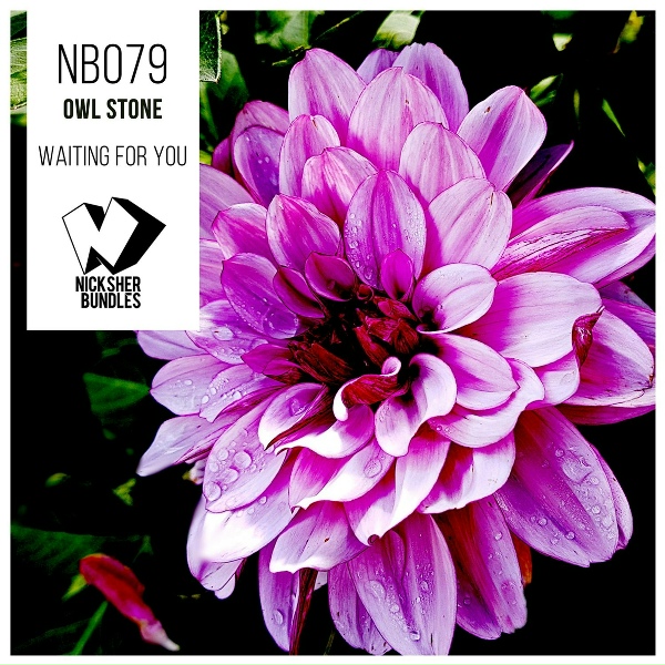 Owl Stone - Rise Again (Original Mix)