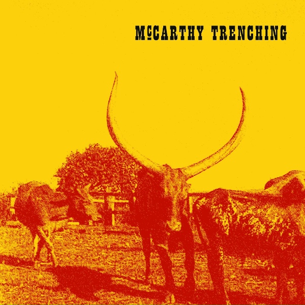 McCarthy Trenching - Hotel Lobby Bar