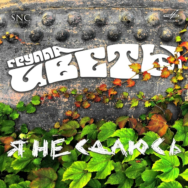 Цветы - Я не сдаюсь