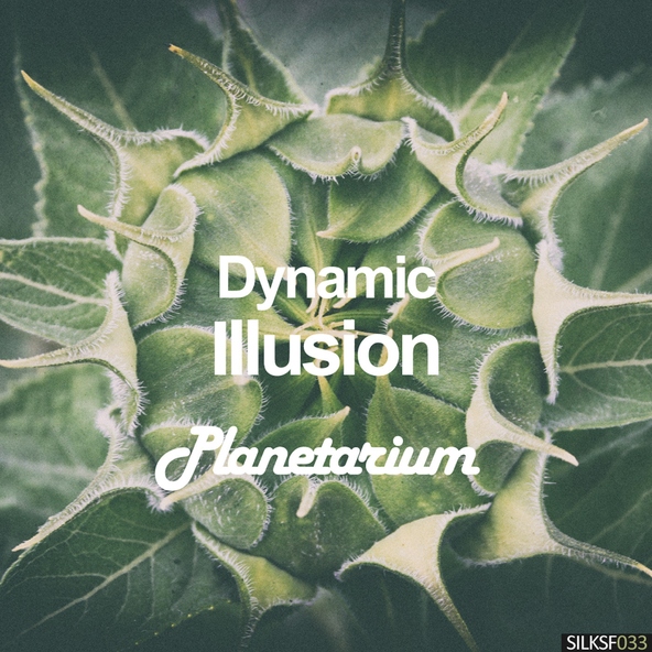 Dynamic Illusion