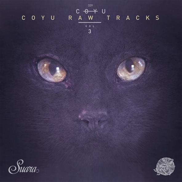 Coyu - Running in Circles