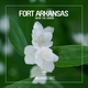 Fort Arkansas - Hear the Sound (Original Club Mix) (Original Club Mix)