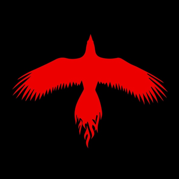 Like A Storm - The Phoenix