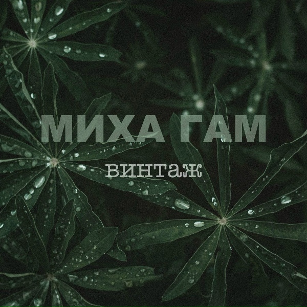 Миха Гам - Ладонь в Небо