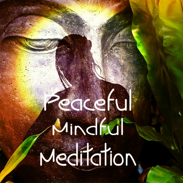 Meditation Music Zone - Tranquil Adventures