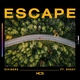 Diviners feat. Rossy - Escape