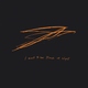 Andrew Bird - Logan's Loop