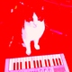 Picasio Cat - Shape of You (Cover Version) (Cover Version)