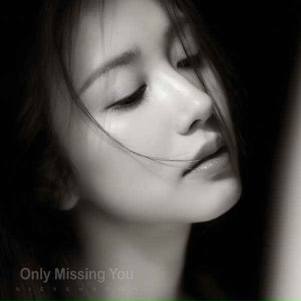 NiExshadow - Only Missing You