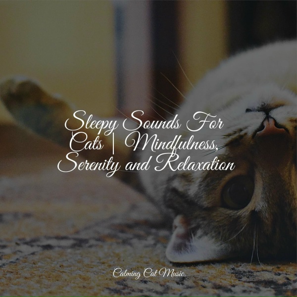 Pet Care Club, Jazz Music Therapy For Cats, Music For Cats - Awakening