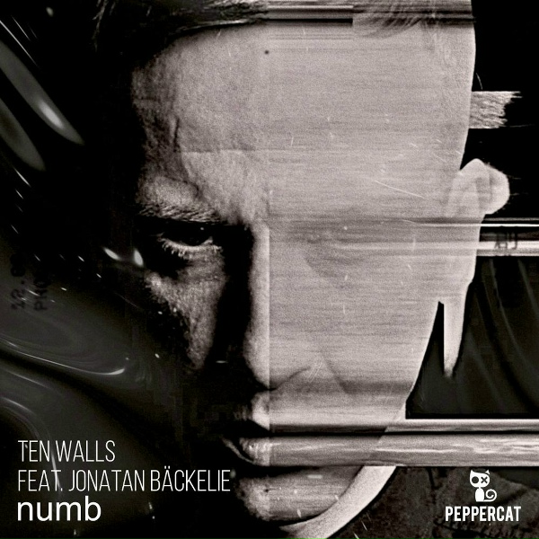Ten Walls - Mokujin