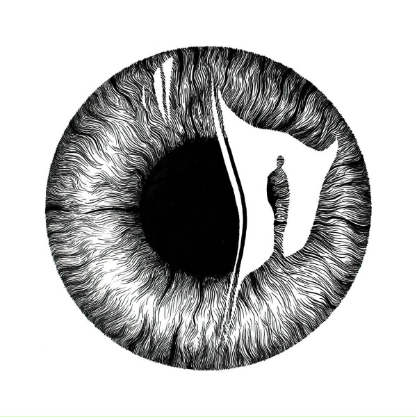 Volor Flex - Blindness
