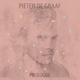 Pieter de Graaf - Hide and Seek