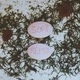 Melanie Martinez - Soap (Steve James Remix) (Steve James Remix)