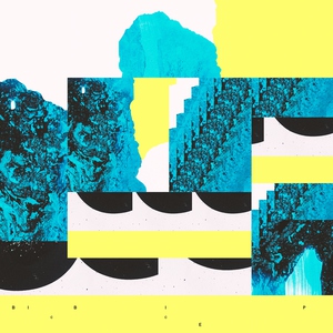 Bicep - Orca