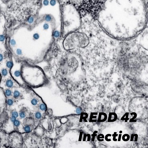 REDD 42 - Infection