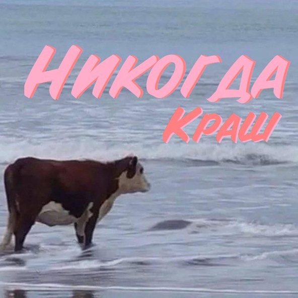 Краш - Никогда
