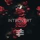 Glitech Pavel - Introvert (Original Mix) (Original Mix)