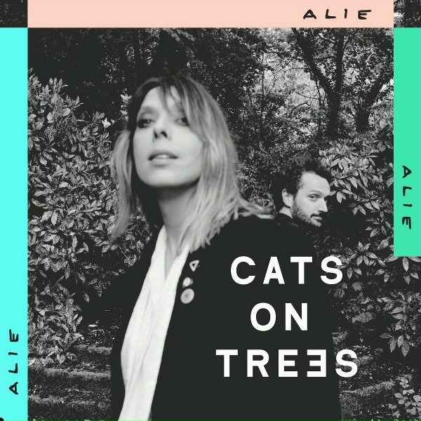 Cats On Trees - Old Friends