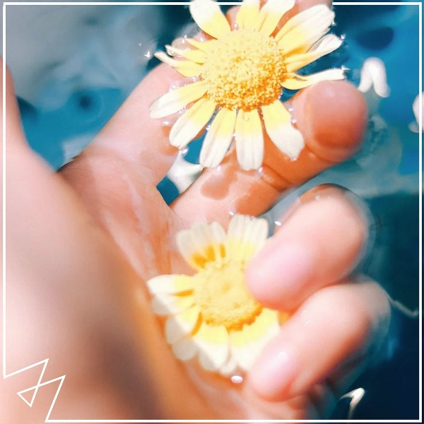 Madilyn Bailey - Flowers