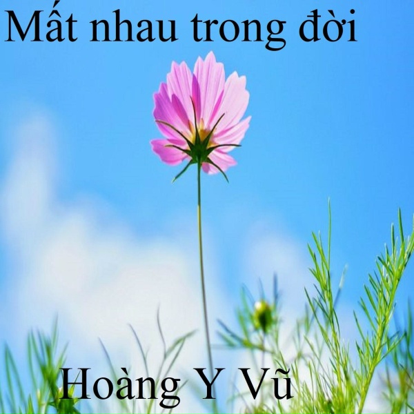 Ho&agrave;ng Y Vũ - Nuốt lệ mĩm m&ocirc;i cười 1