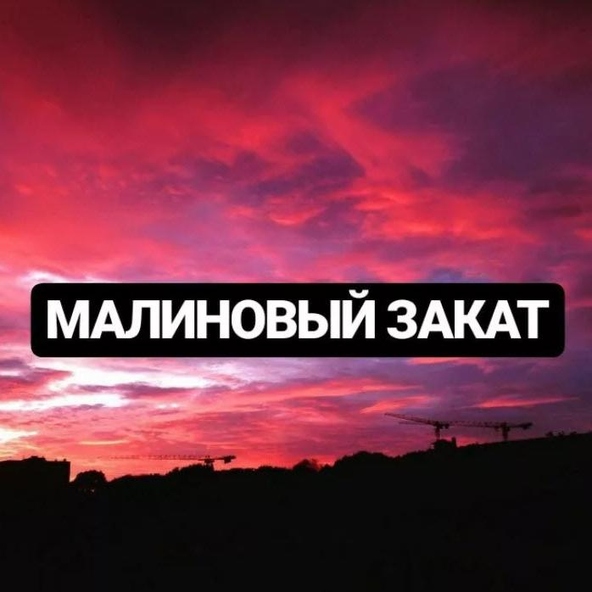 LVNX