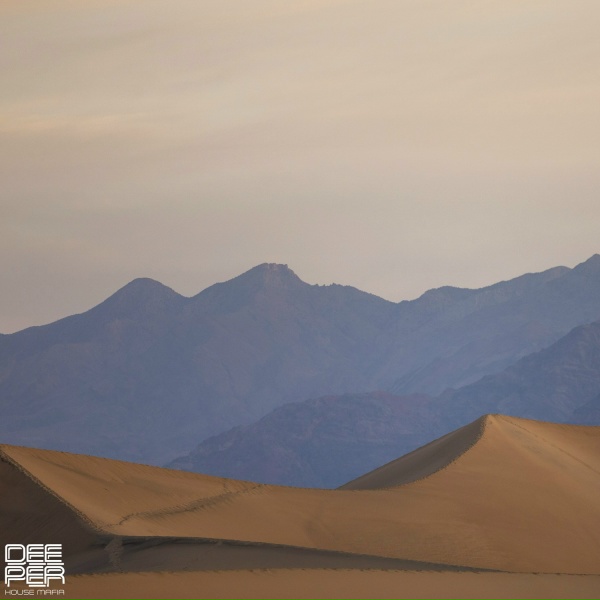 Dieez - Desert Rose
