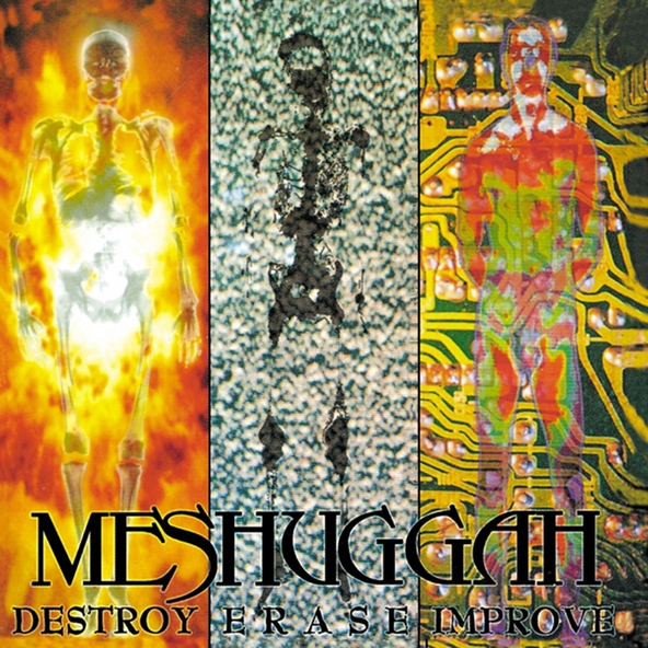 Meshuggah - Transfixion